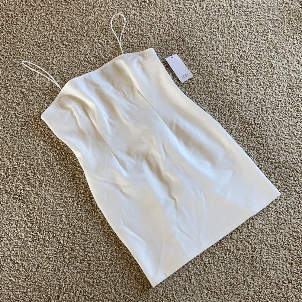 NWT Tobi dress